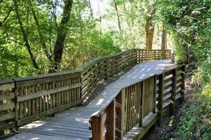 Visit Stella Olsen Park: Sherwood, Oregon's Gem! | Living in Oregon: Moving Tips, Cost of Living & Best Cities