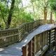 Visit Stella Olsen Park: Sherwood, Oregon's Gem! | Living in Oregon: Moving Tips, Cost of Living & Best Cities