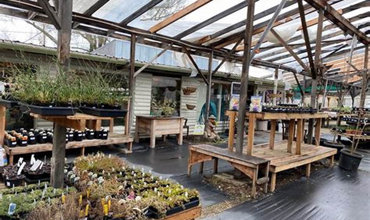 Salem Oregon Nursery | Living in Oregon: Moving Tips, Cost of Living & Best Cities
