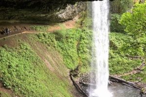 Hiking Near Salem Oregon | Living in Oregon: Moving Tips, Cost of Living & Best Cities