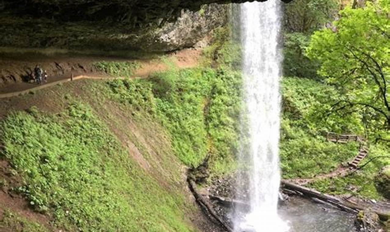 Hiking Near Salem Oregon | Living in Oregon: Moving Tips, Cost of Living & Best Cities